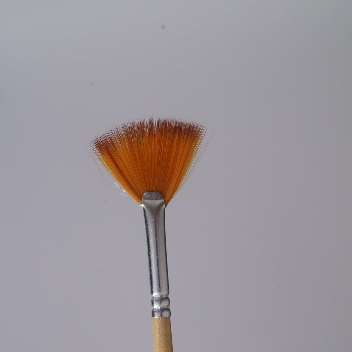 Fan Brushes