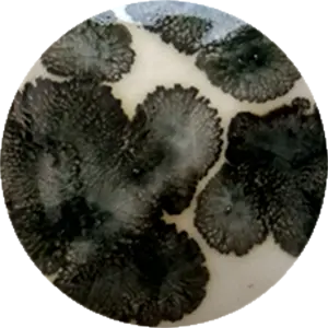 Fantasy Crystal beads cone 04-03 (999 to 1,060'c)