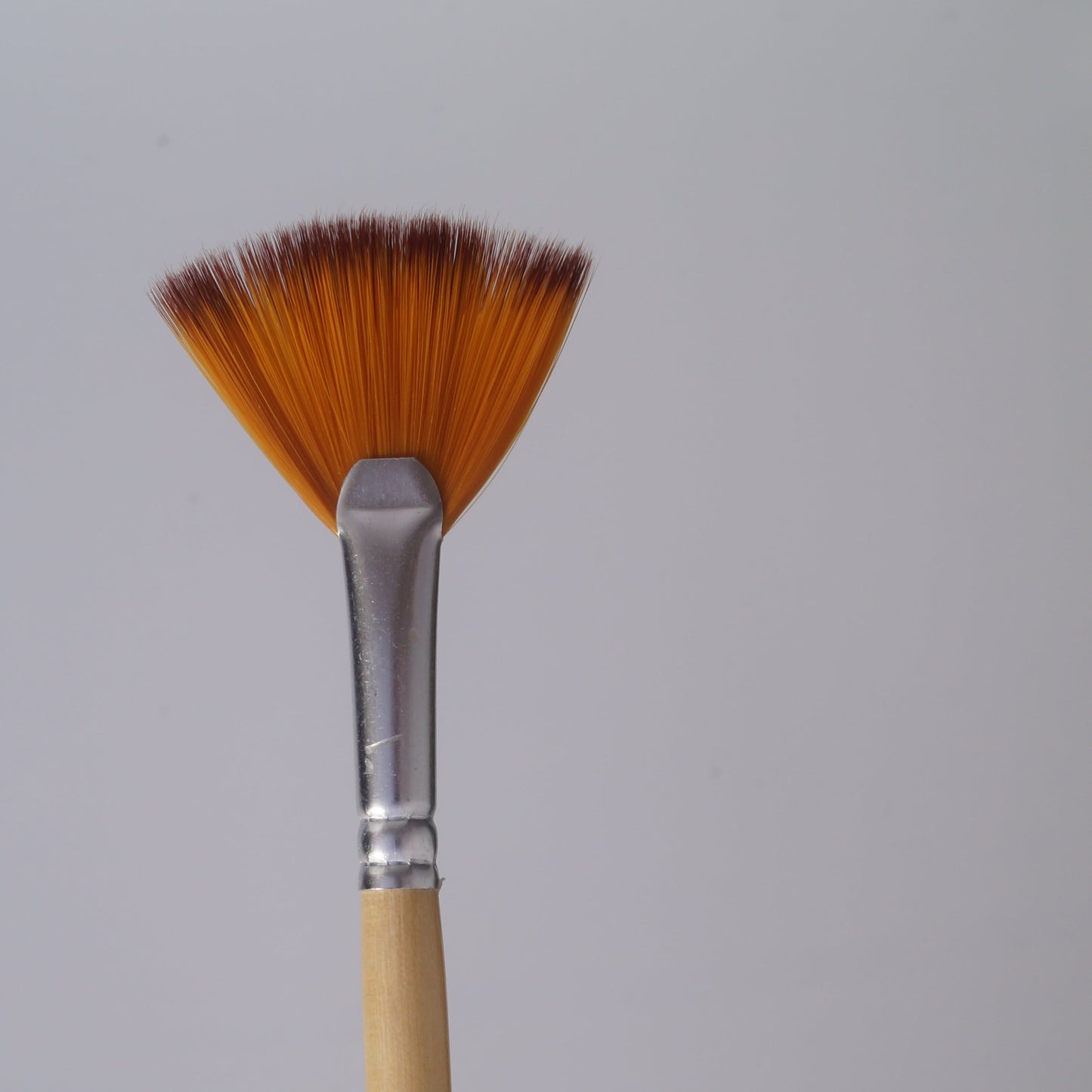 Fan Brushes