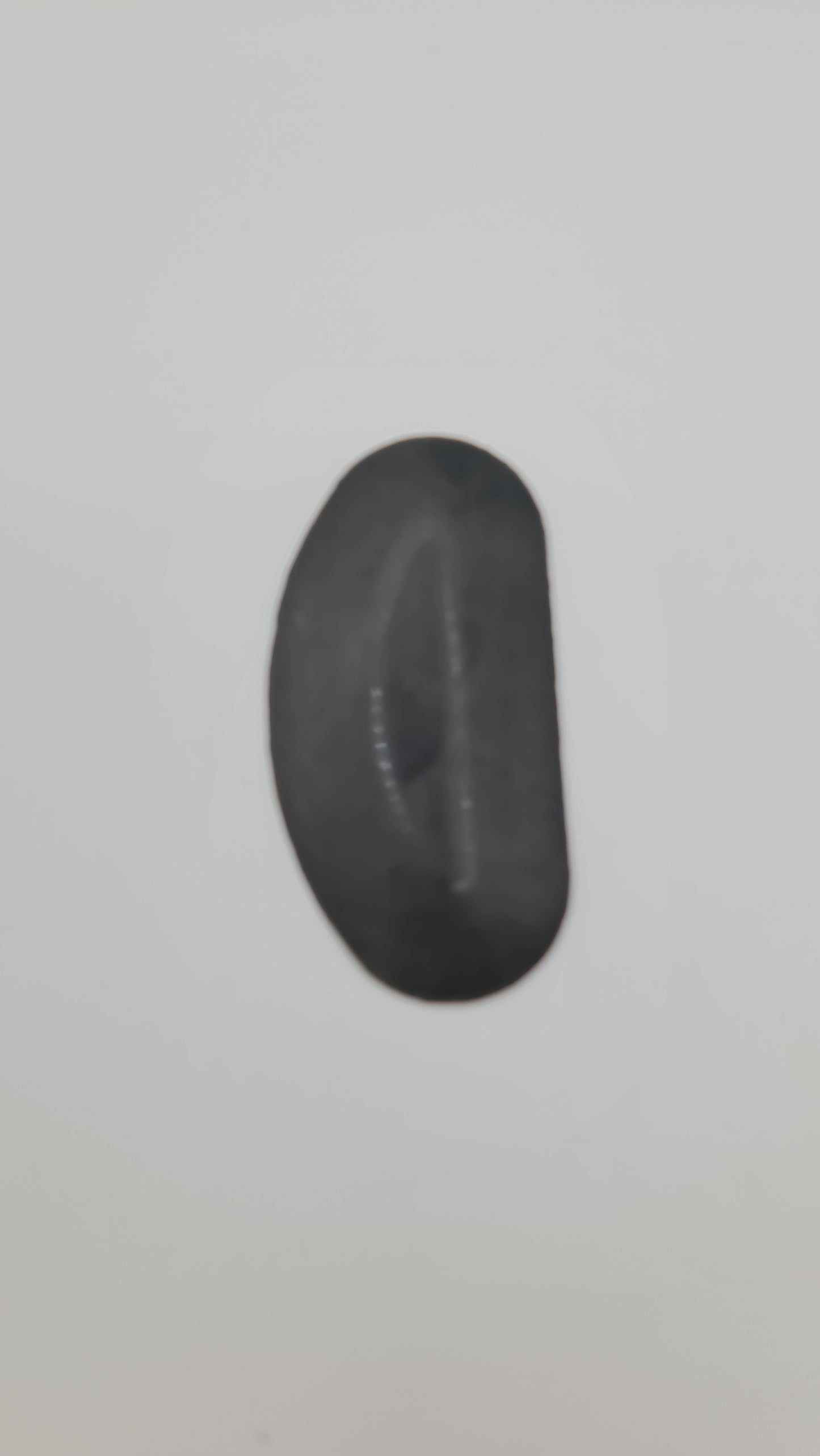 Black rubber kidney