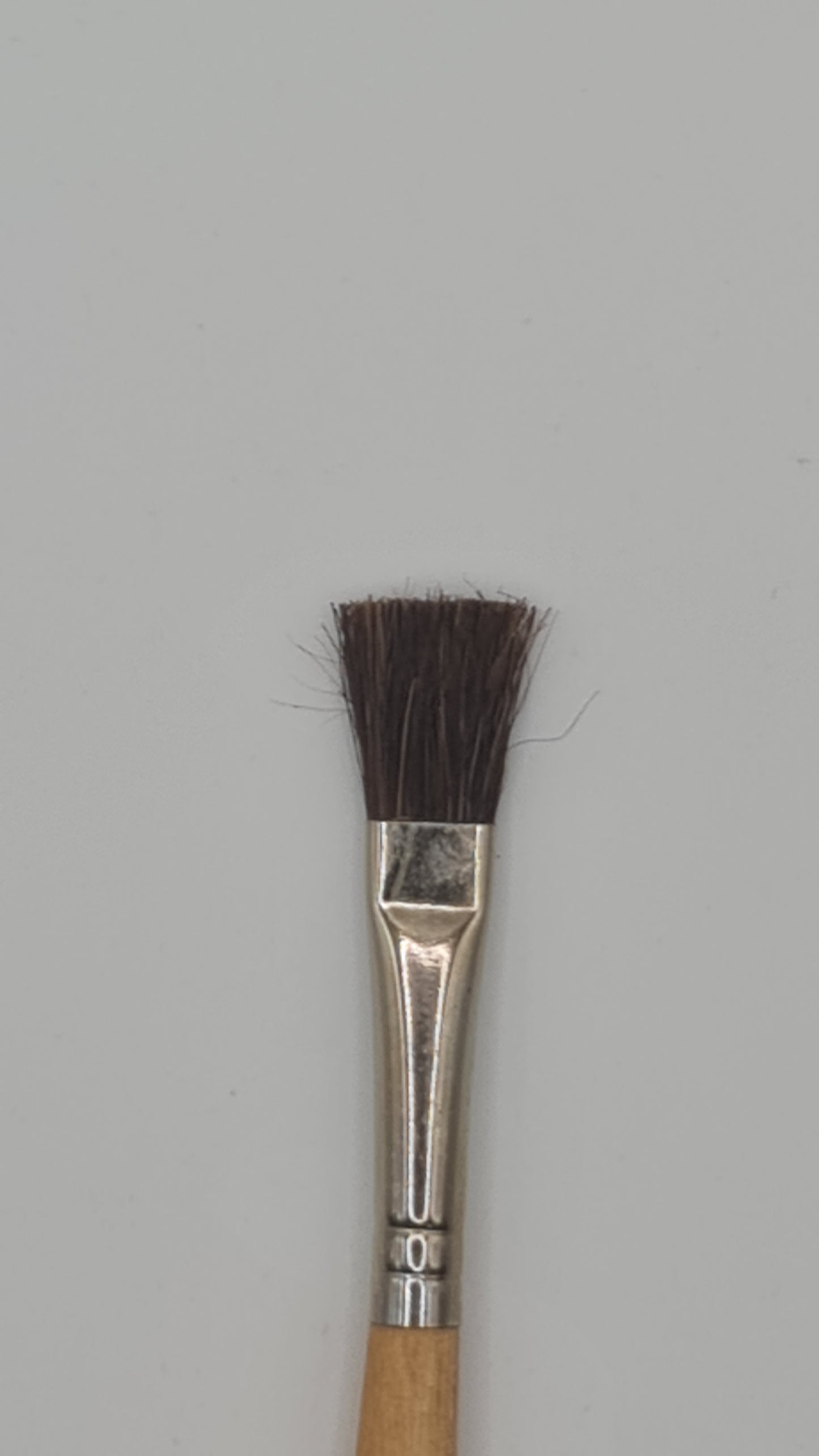 Clean Up Tool With Brush