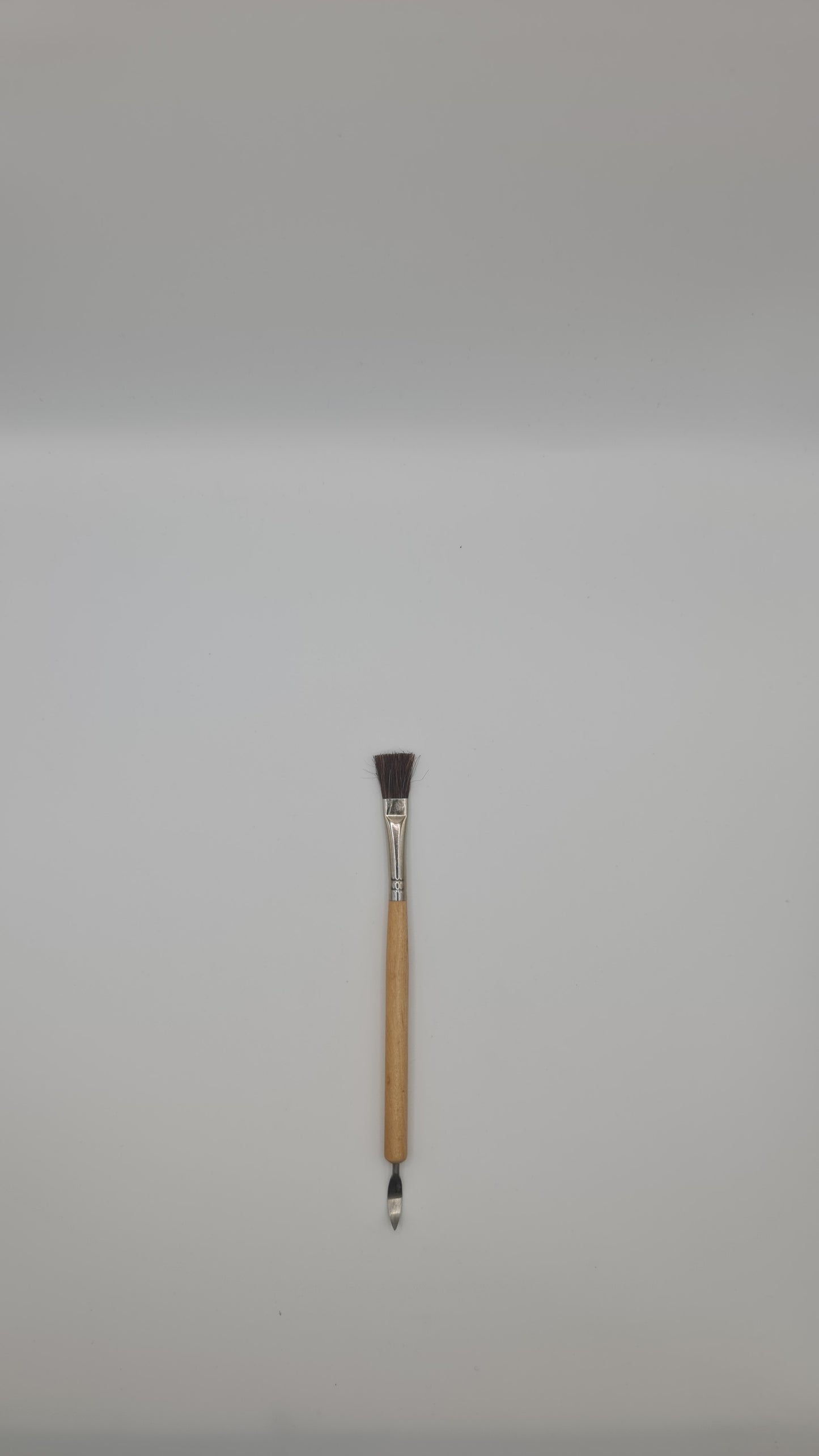 Clean Up Tool With Brush