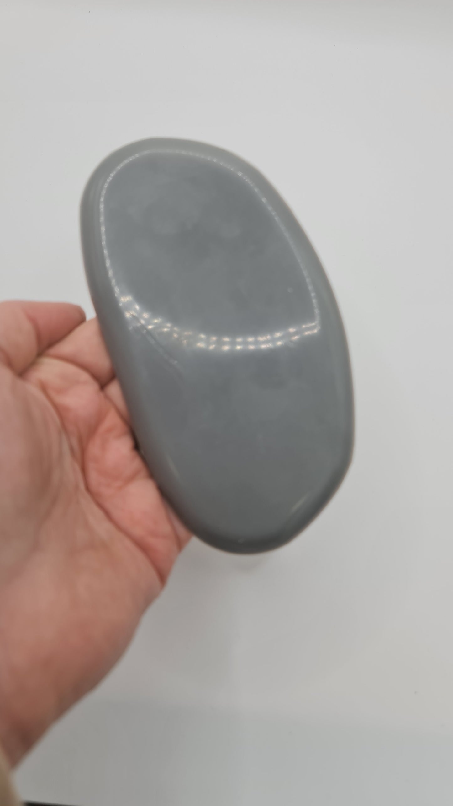 Large grey flexible kidney