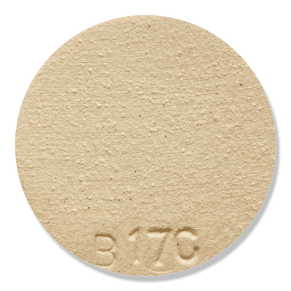 B17C Stoneware Casting Slip